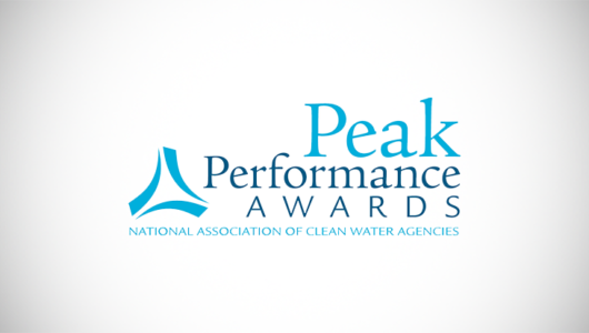 peak_performance_awards-naocwa(5)