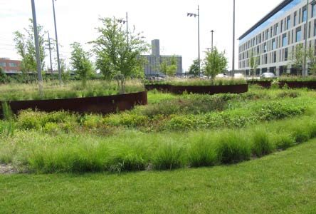 Rainscaping Large Scale Grants Project