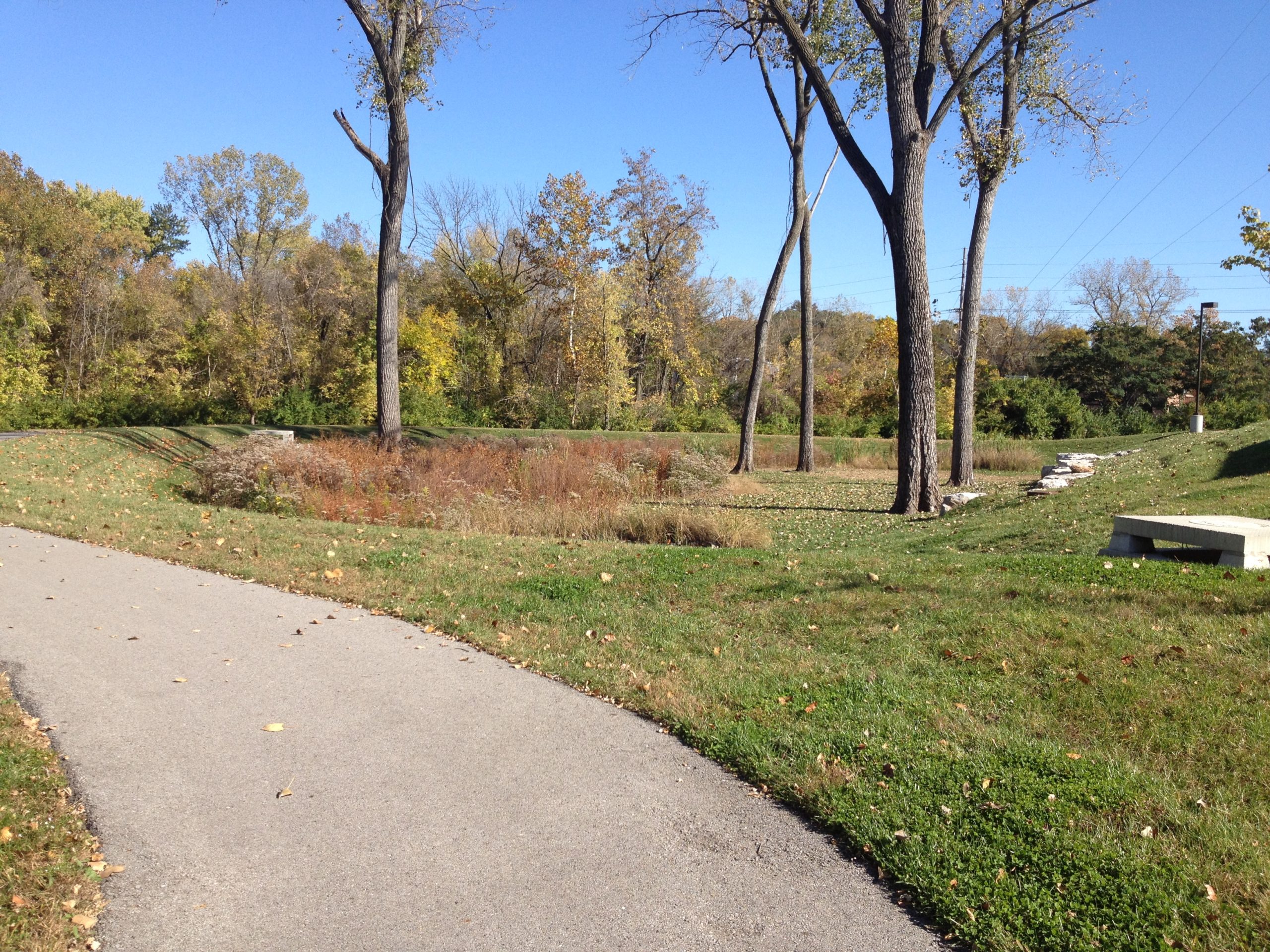 Nested Bioretention - Metropolitan St. Louis Sewer District