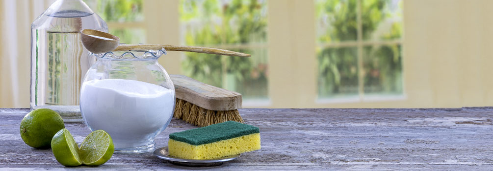 MSD Healthy Home Tips Natural Cleaning